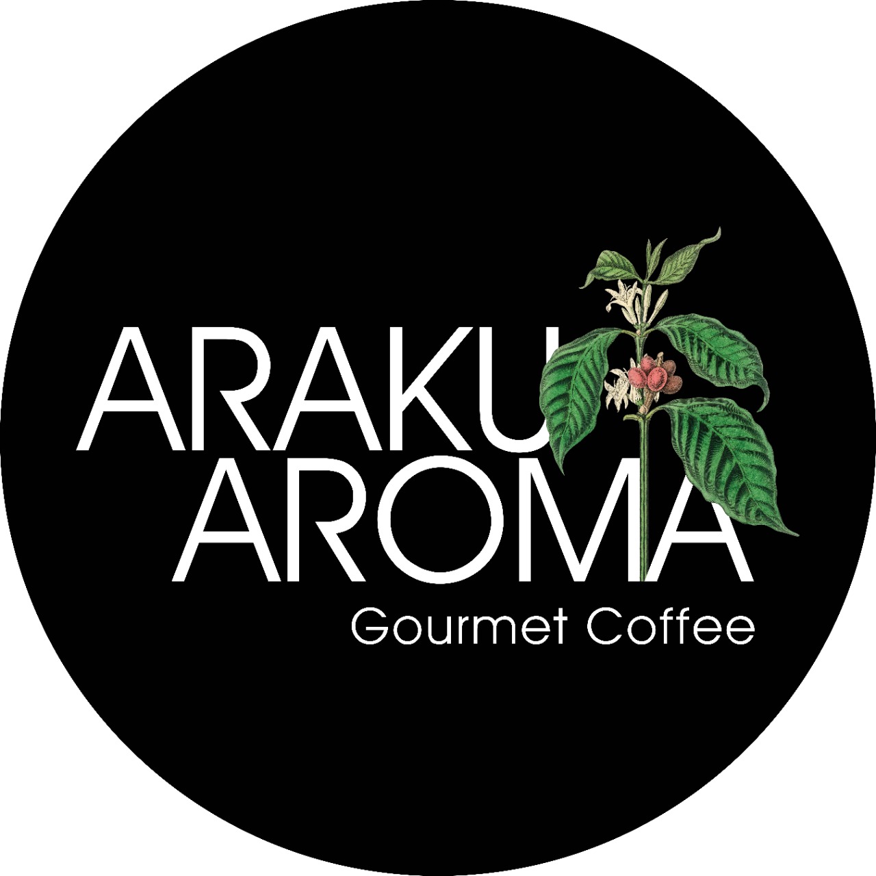 header-logo
